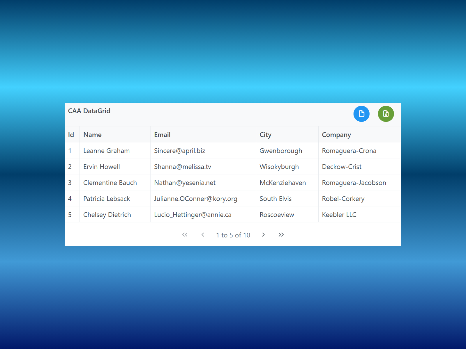 Caa DataGrid preview