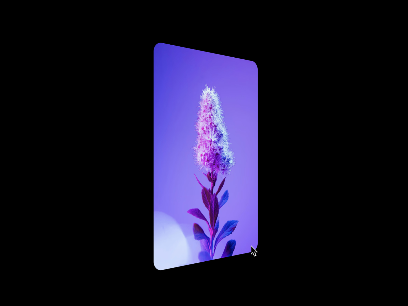 Flip Card preview