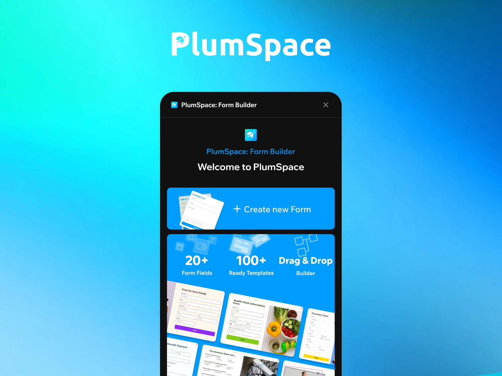 PlumSpace Form Builder preview
